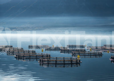 Floating cages at sunrise
