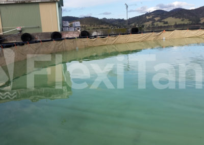 Aquaculture cage liners holding clear water