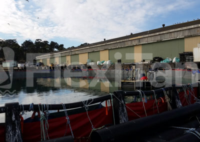 Transport liner full of water