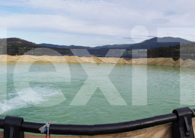 Aquaculture cage liners holding clear water