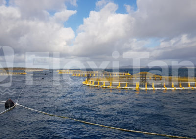 Kingfish aquaculture cages with liners