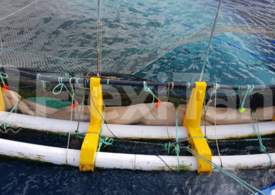 44 metre diametre Kingfish treatment liner