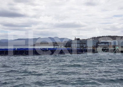 44 metre bathing liner for salmon in operation