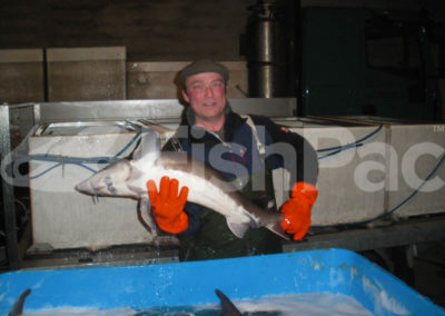 FishPac & Sturgeon = Success