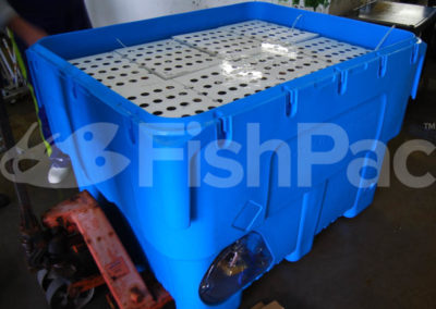 StackPac filled with abalone without lid on