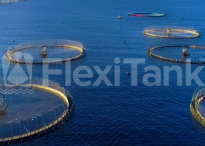 Aerial view of aquaculture cages